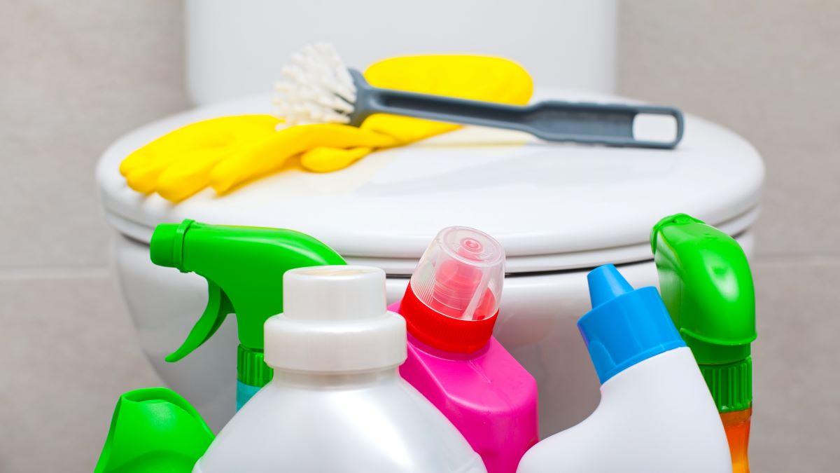 Toilet Cleaners